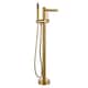 Option Brushed Gold