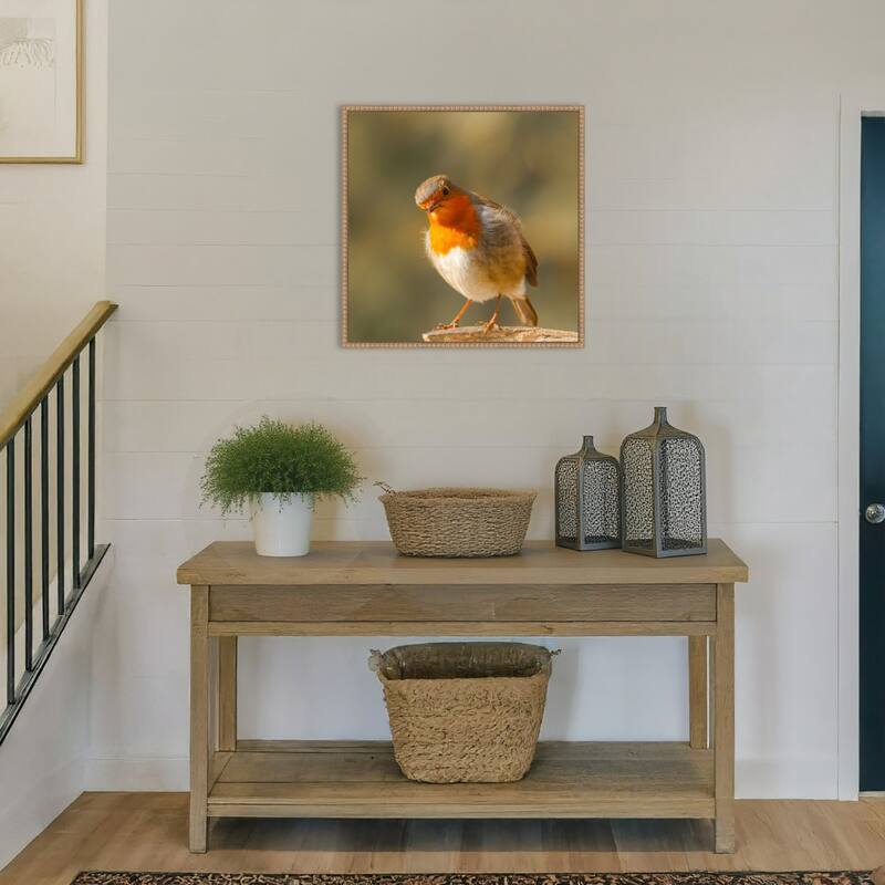 Whats up by Annie Keizer Framed Canvas Wall Art Print