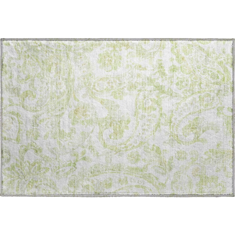 Premium Washable Super Soft Modern Paisley Mayfield Rug