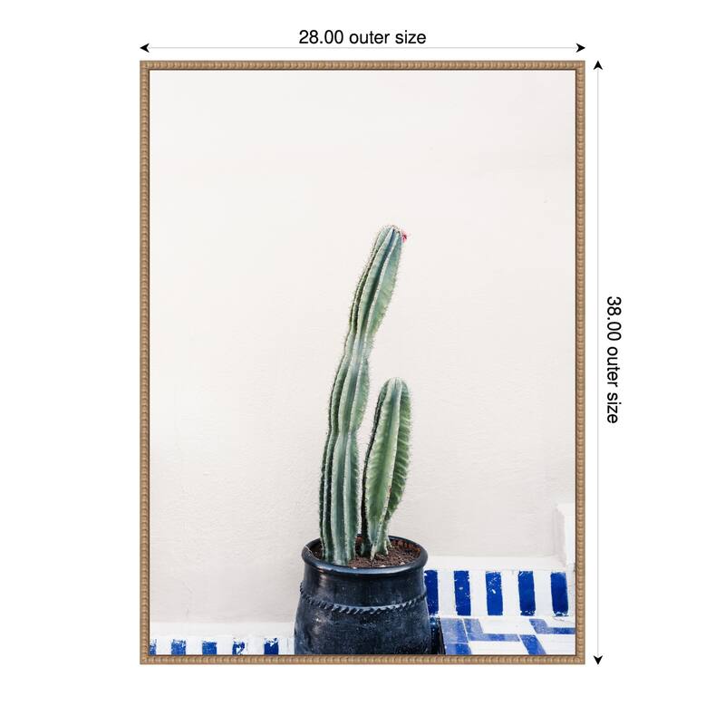 Green cactus and blue pottery in Morocco by Photolovers Framed Canvas Wall Art Print - Plastic - 28 x 38 in - Brown