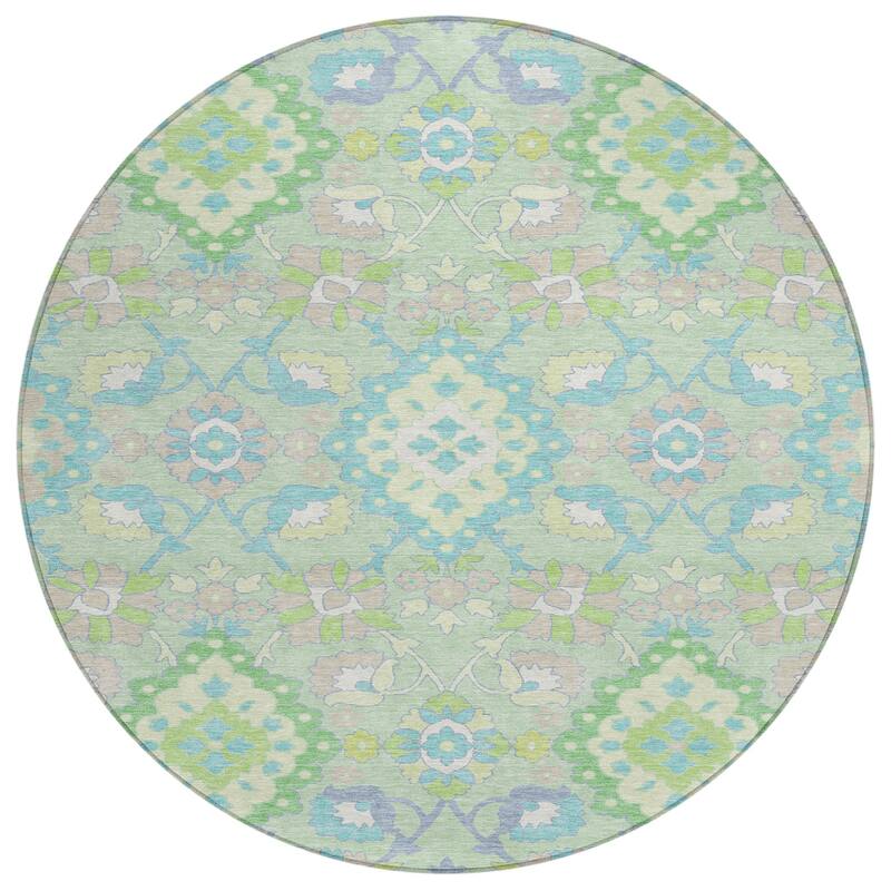 Machine Washable Indoor/ Outdoor Boho Traditional Chantille Rug