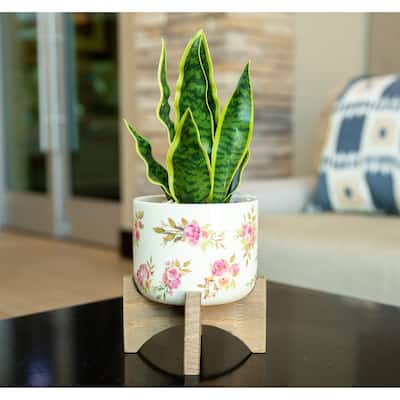 12" Artificial Plant Fake Snake Plant in Ceramic on Stand - ONE-SIZE