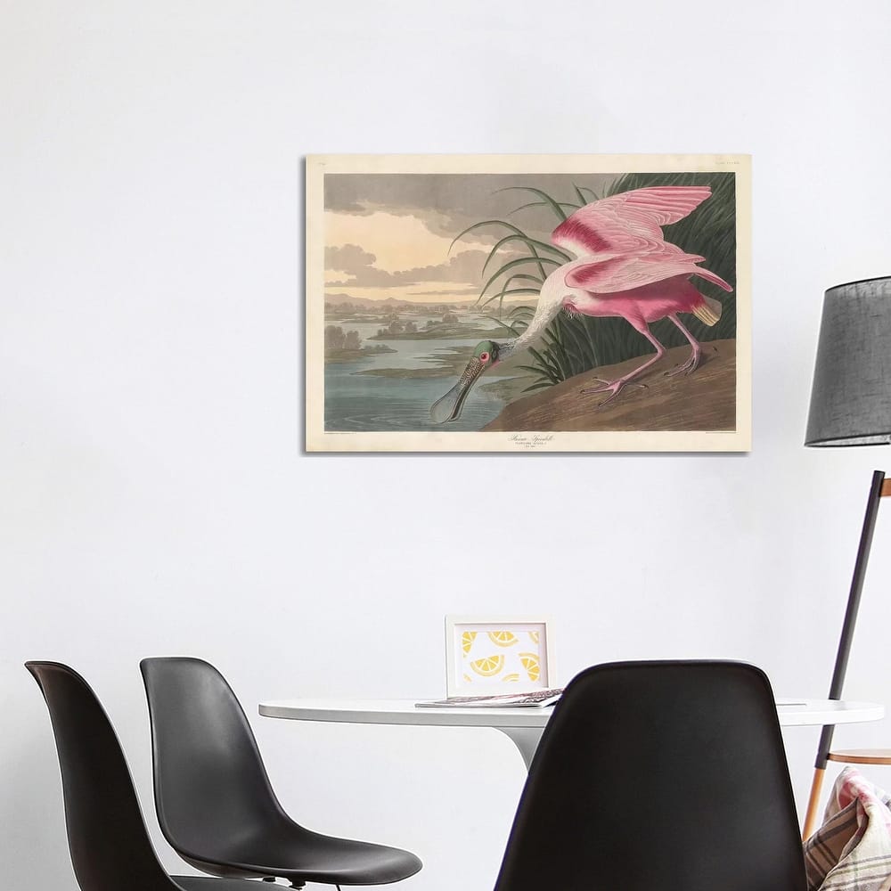 iCanvas "Roseate Spoonbill, 1836" by John James Audubon Canvas Print
