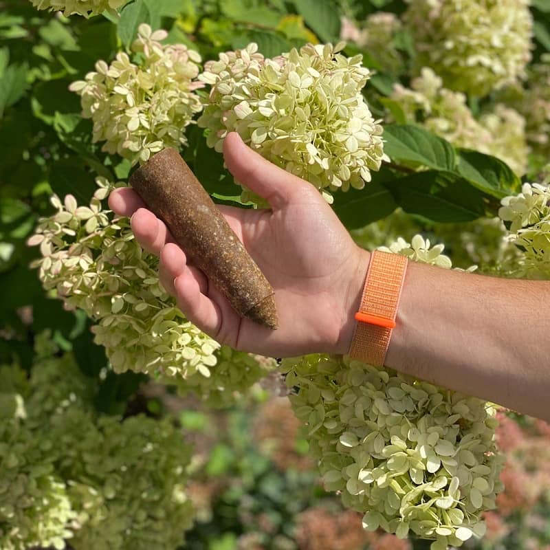 The Old Farmer's Almanac Tree & Shrub Fertilizer Spikes 13-3-3