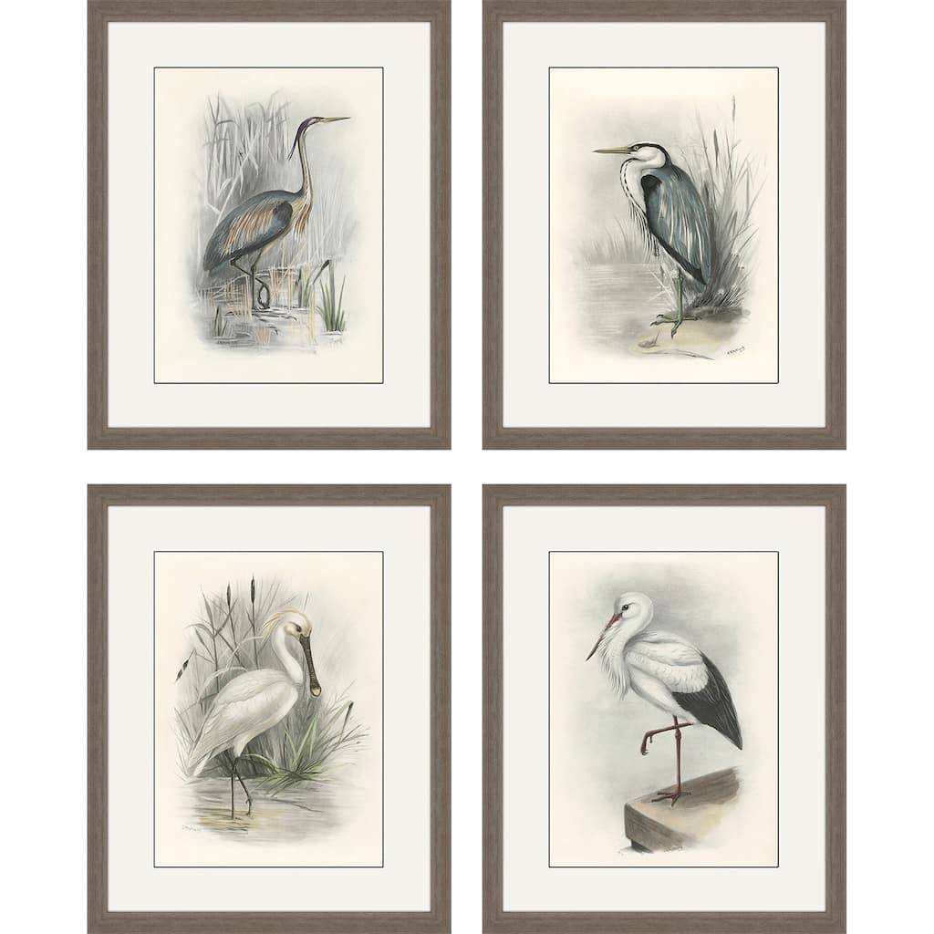 Birds S/4 Framed Art Giclee Under Glass - Grey