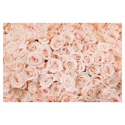 Bed of Roses by Belle Maison Canvas Art Print