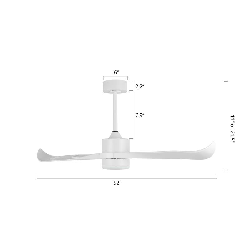 WINGBO 52 inch 2 Blades Modern Ceiling Fan with Lights and Remote - N/A