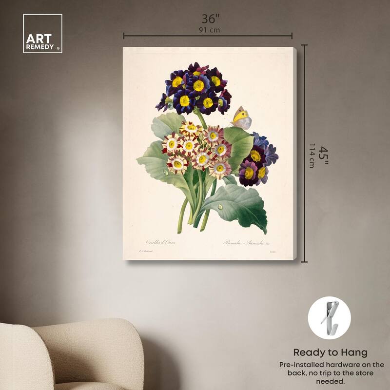 Auricula Varieties Canvas by Art Remedy, Gallery Wrapped