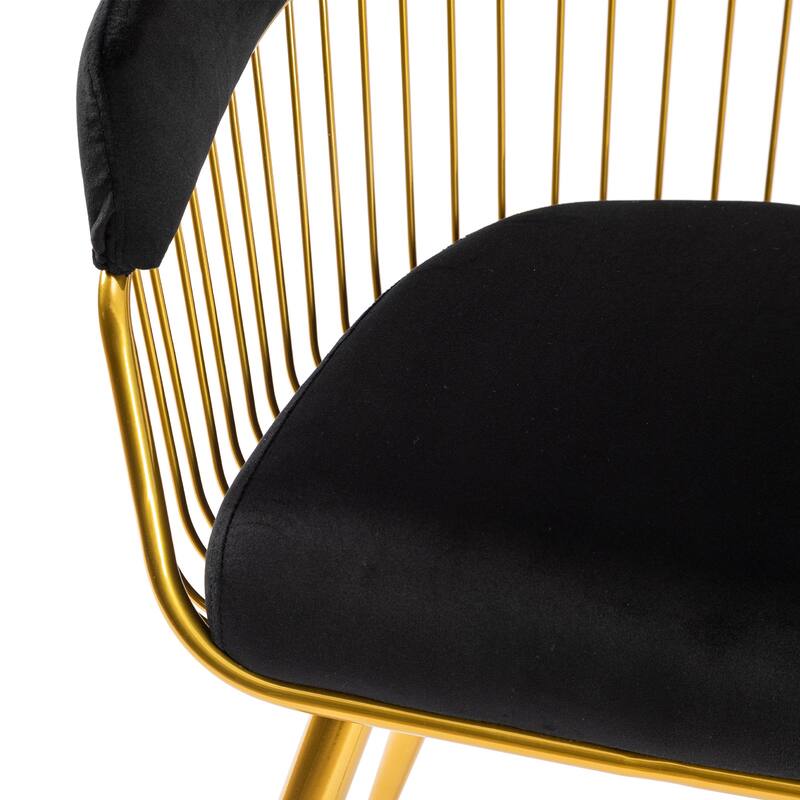 XINMICS Modern Dining Chair, Velvet Back Armchair for Living Room/Study, Set of 2/4/6