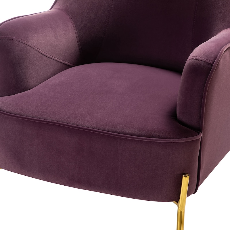 Barbara Modern Velvet Accent Chair for Bedroom with Metal Legs by HULALA HOME