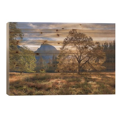 Cook's Meadow Print On Wood by Adam Burton - Multi-Color