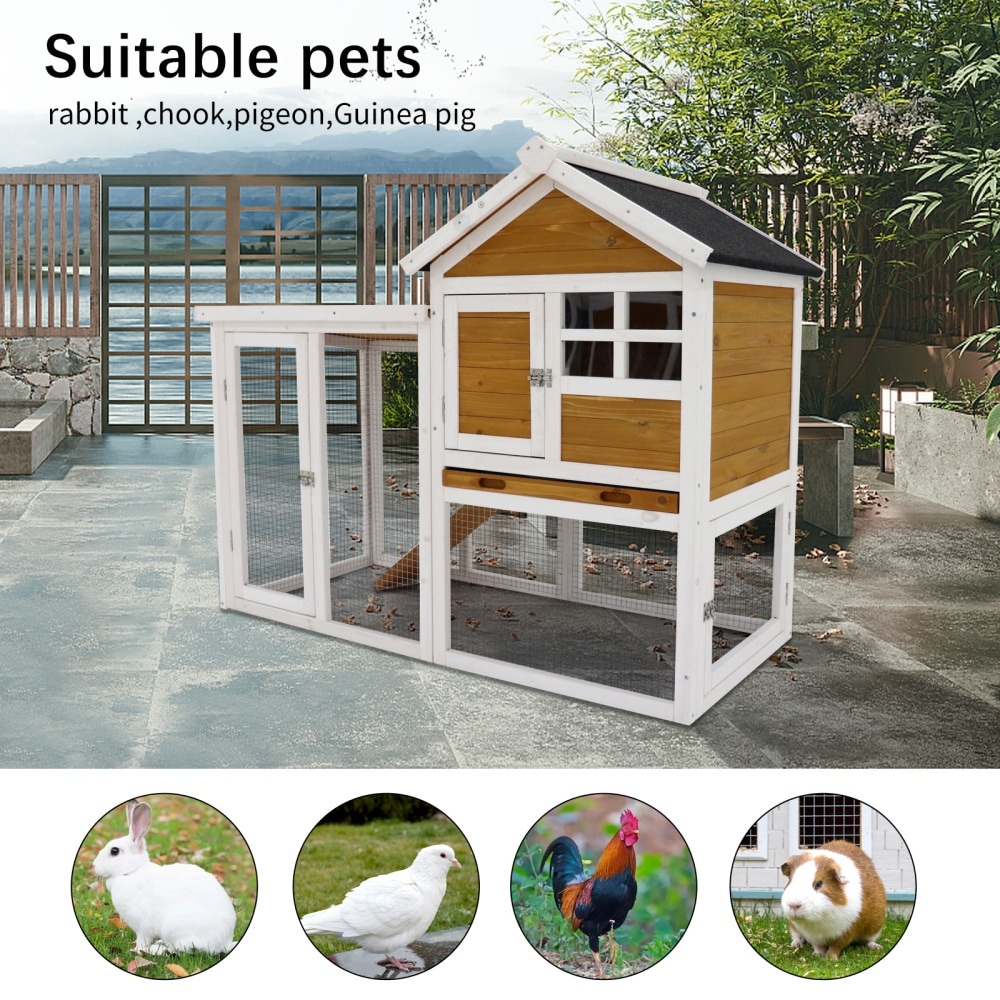 Guinea pig shed setup on sale