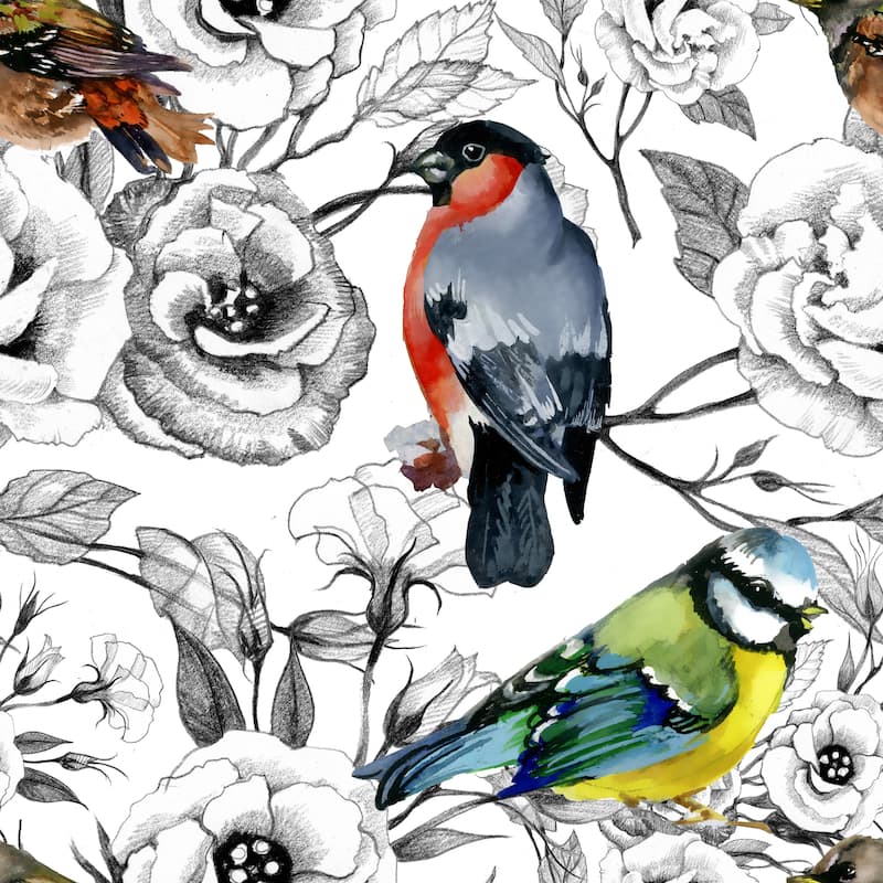 Floral Hummingbirds Vinyl-coated Removable Wallpaper - 24'' inch x 10'ft - 24'' inch x 10'ft - Black