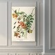 preview thumbnail 7 of 8, Pl 47 Ruby-throated Hummingbird -Premium Gallery Wrapped Canvas