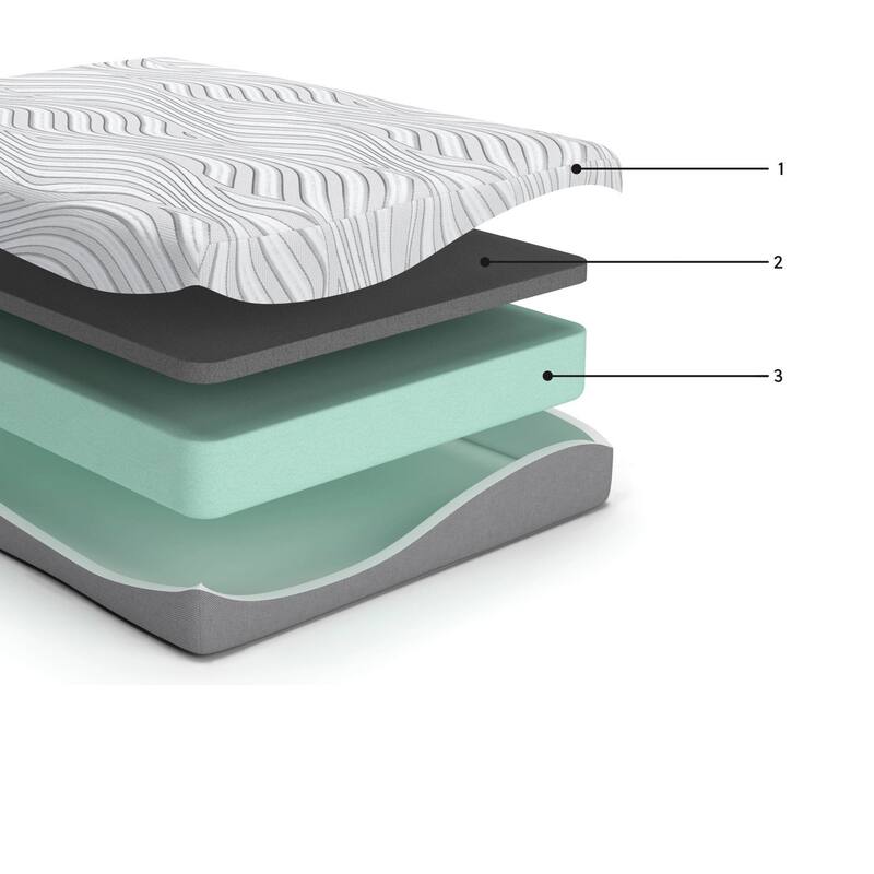 Meny Queen Mattress, Ultra Plush Memory Foam, Body Support 12 Inch