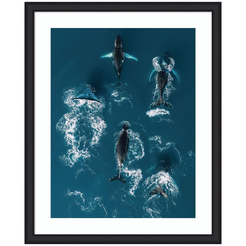 Kate and Laurel Framed Art School of Humpback Whales in the Blue Ocean by Michael Schauer - 35x43 - Black