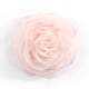 Option Blush