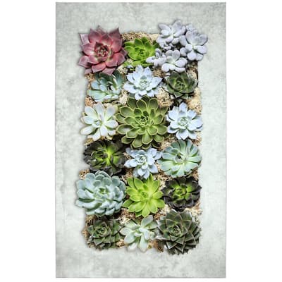 Carson Carrington Tasback Galvanized Steel/ Zinc Succulent Planter