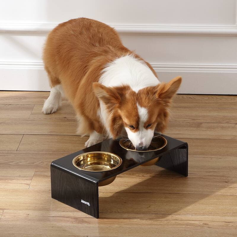 Keaton 5" Small/Medium Modern Lucite Rectangular Elevated Pet Feeder with 20oz 2-Stainless Steel Bowls