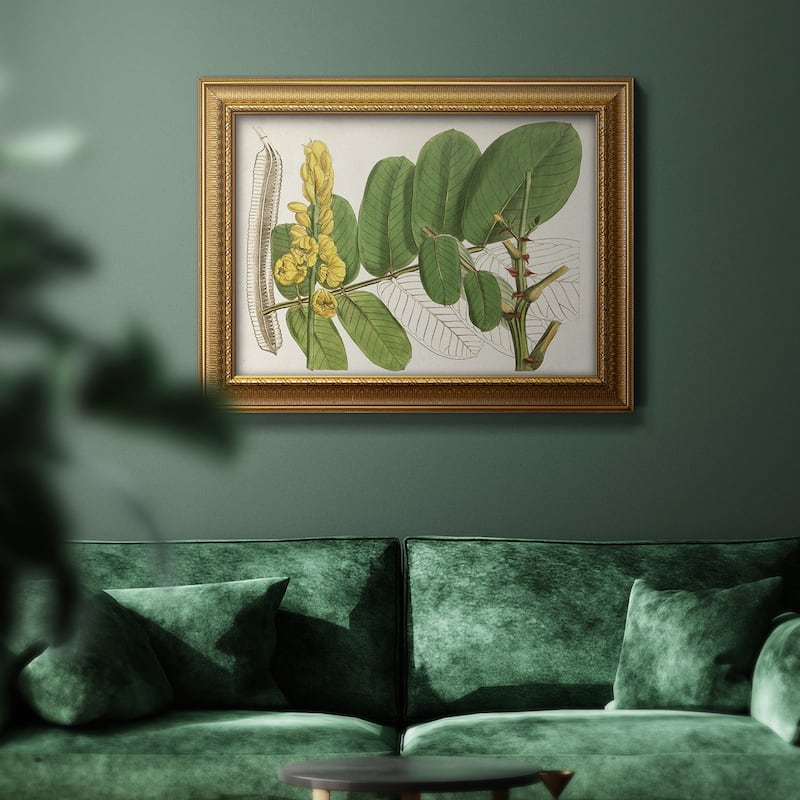 Tropical Foliage & Fruit II Premium Framed Canvas- Ready to Hang