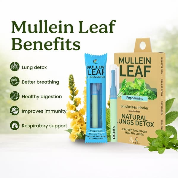 mullein vape disposable Cigtrus Leaf Smokeless Inhaler 3 Pack - On Sale - Bed Bath & Beyond Colour:Knight Grey On Sale! CBD Vaping vs Nicotine