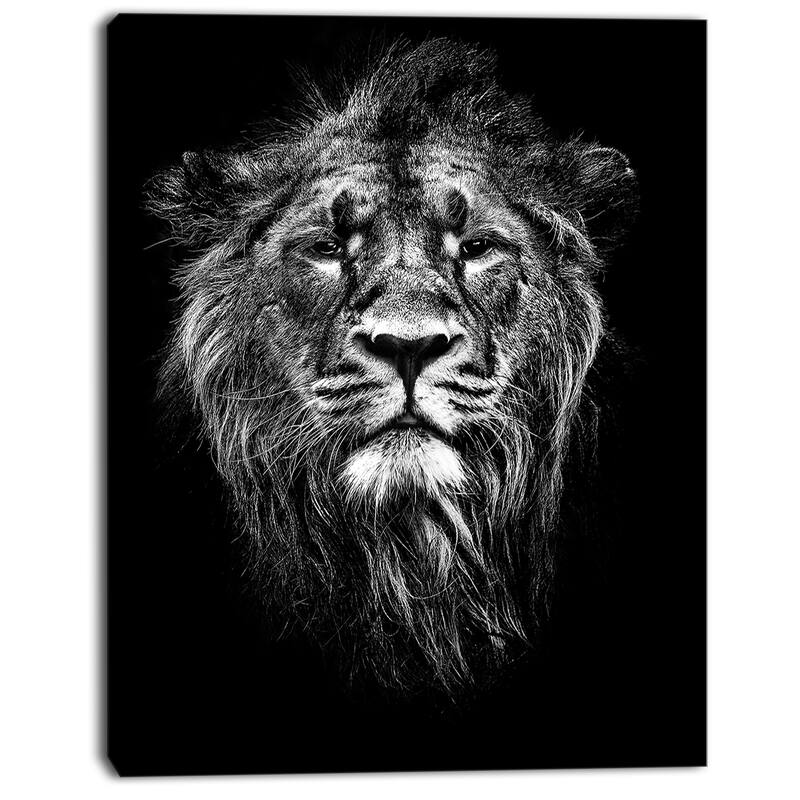 Designart "Male Asiatic Lion" Animal Canvas Art Print Bed Bath