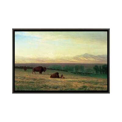 iCanvas "Buffalo on the Plains, c.1890 " by Albert Bierstadt Framed