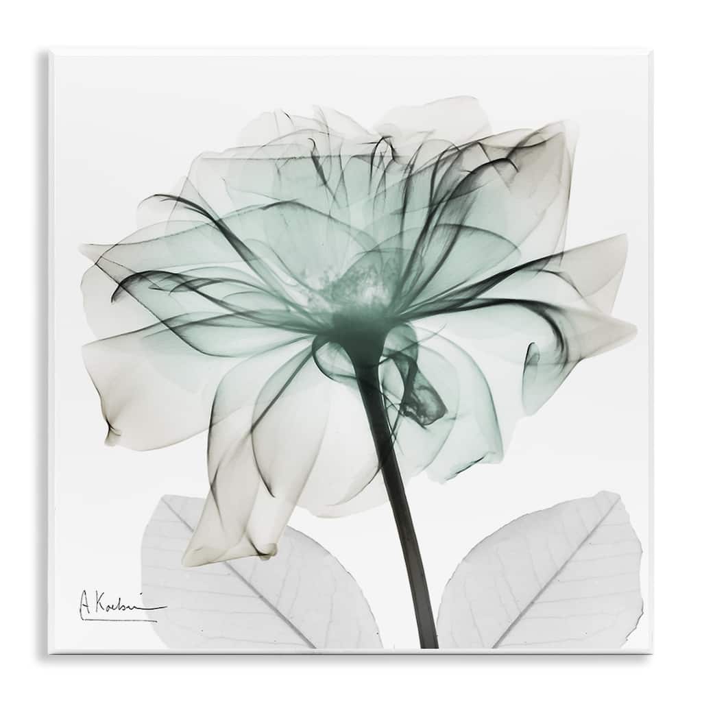 Stupell Unique Chic Flower Petal Wall Plaque Art Design By Albert Koetsier