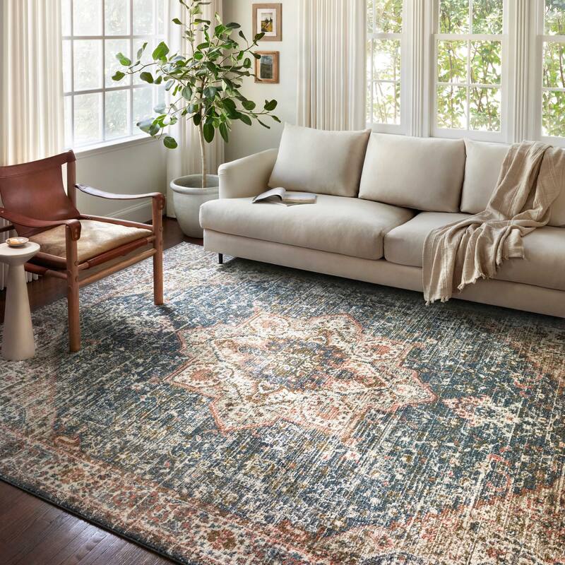 Alexander Home Valeria Distressed Boho Medallion Star Area Rug