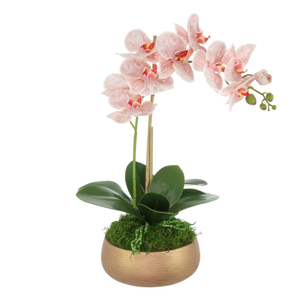 Orchid Arrangement in Fiberstone Planter - 23