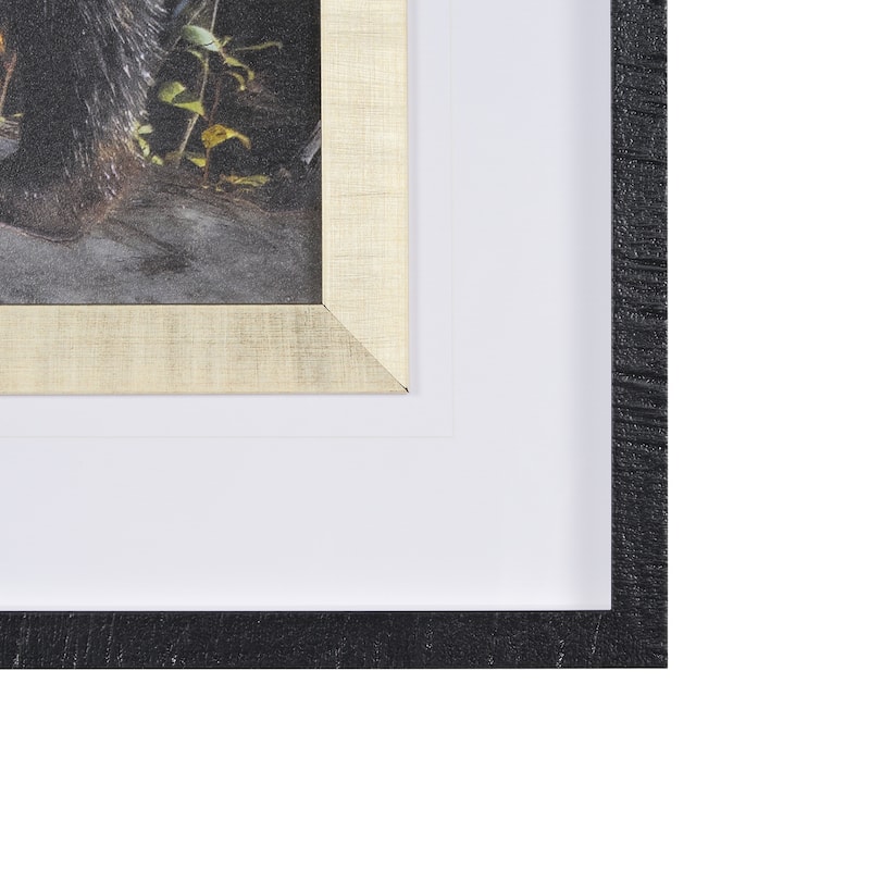Mom And Cub Framed Art Print