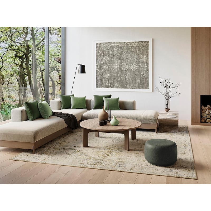 Nourison Astra Machine Washable Distressed Area Rug