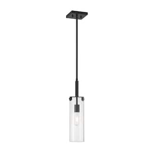 Winfield 1-Light Mini-Pendant in Matte Black