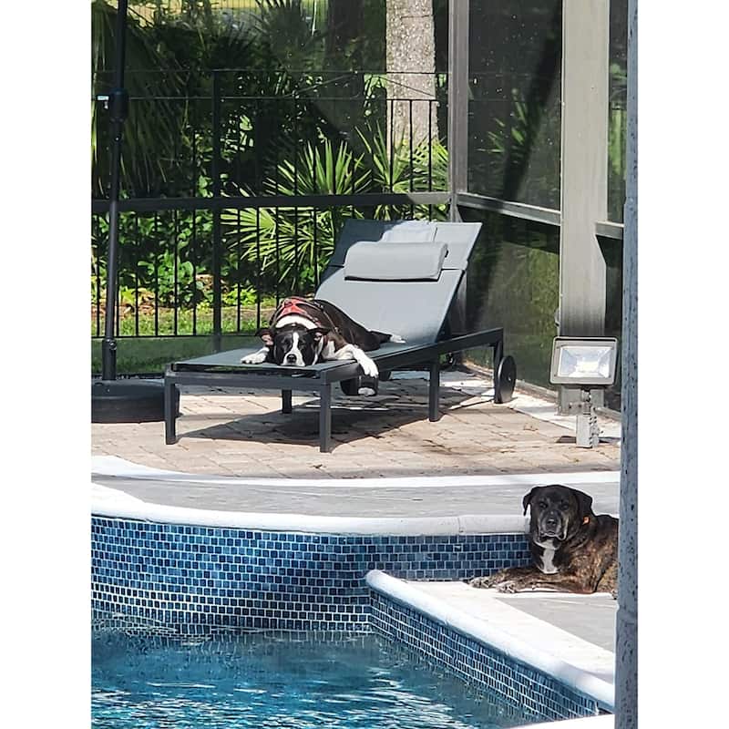 PURPLE LEAF Outdoor Tanning Lounge Chair Set with Face Hole Adjustable Reclining Chairs