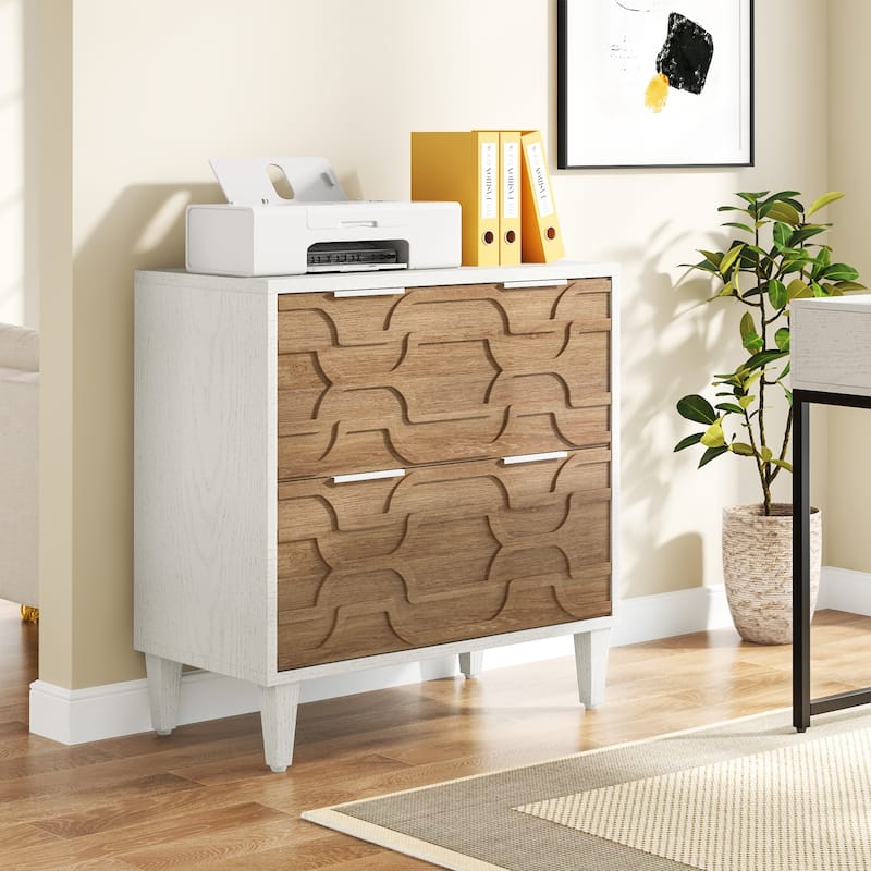 2 Drawer File Cabinet for Home Office, Filling Cabinet for A4/Letter/Legal Size