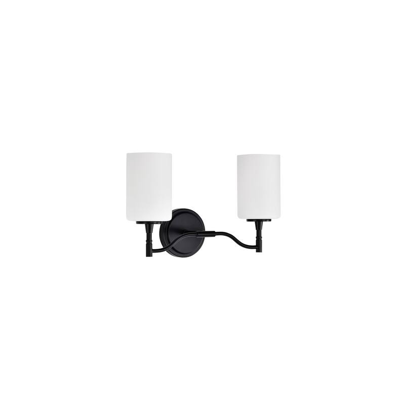 Nuvo Lighting 60/8202 Liam 2 Light 16" Wide Vanity Light