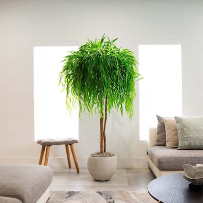 Potted Willow Artificial Tree - 8' - Green