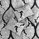 Madison Park Marcella 7 Piece Cotton Printed Comforter Set