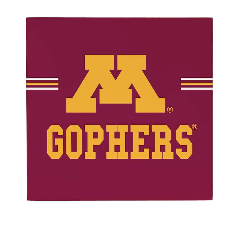 University of Minnesota Wooden Door Decor Wall Sign - Multi-Color