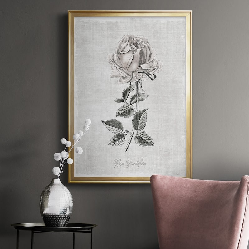 Vintage Botanical II Premium Framed Print - Ready to Hang