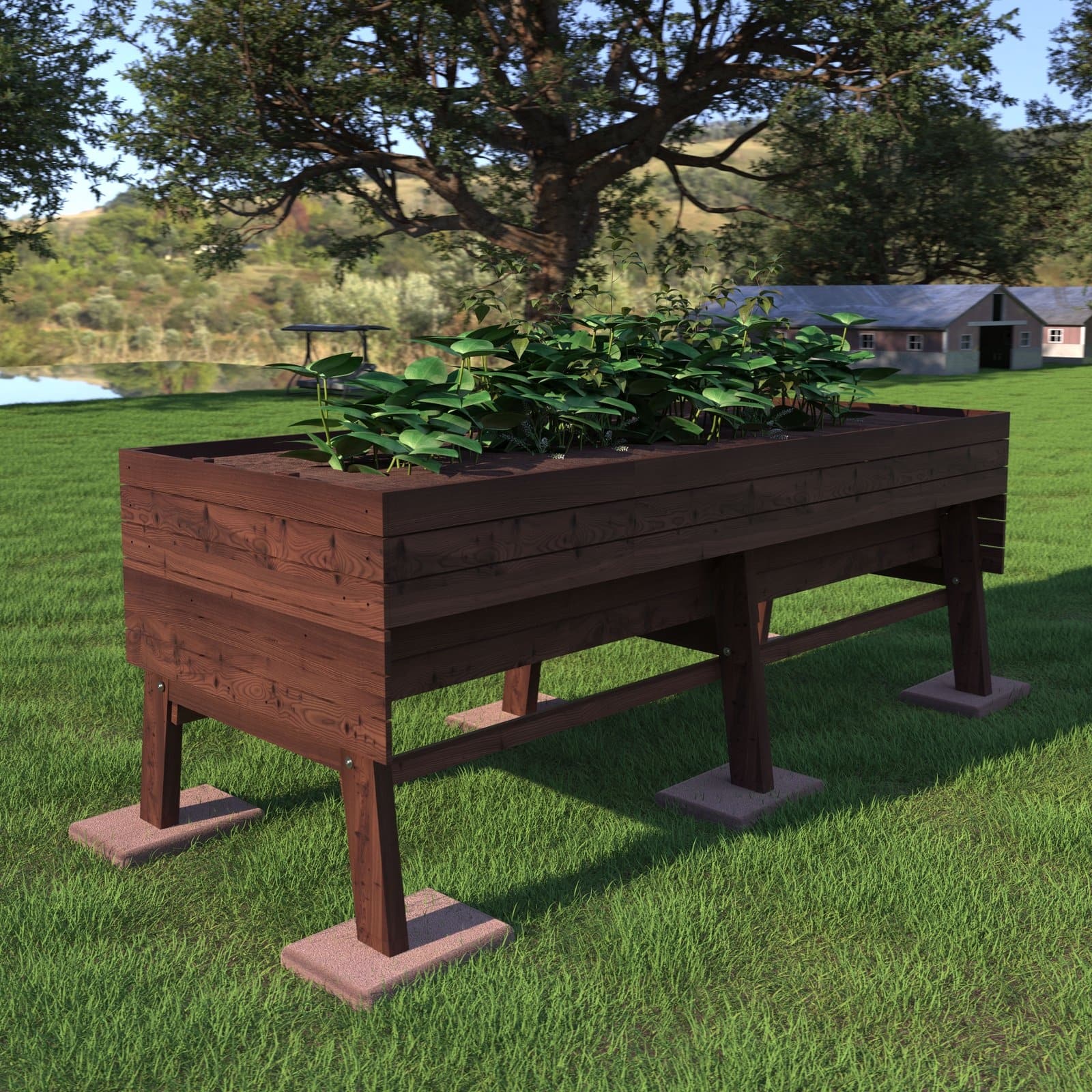 Option Rustic