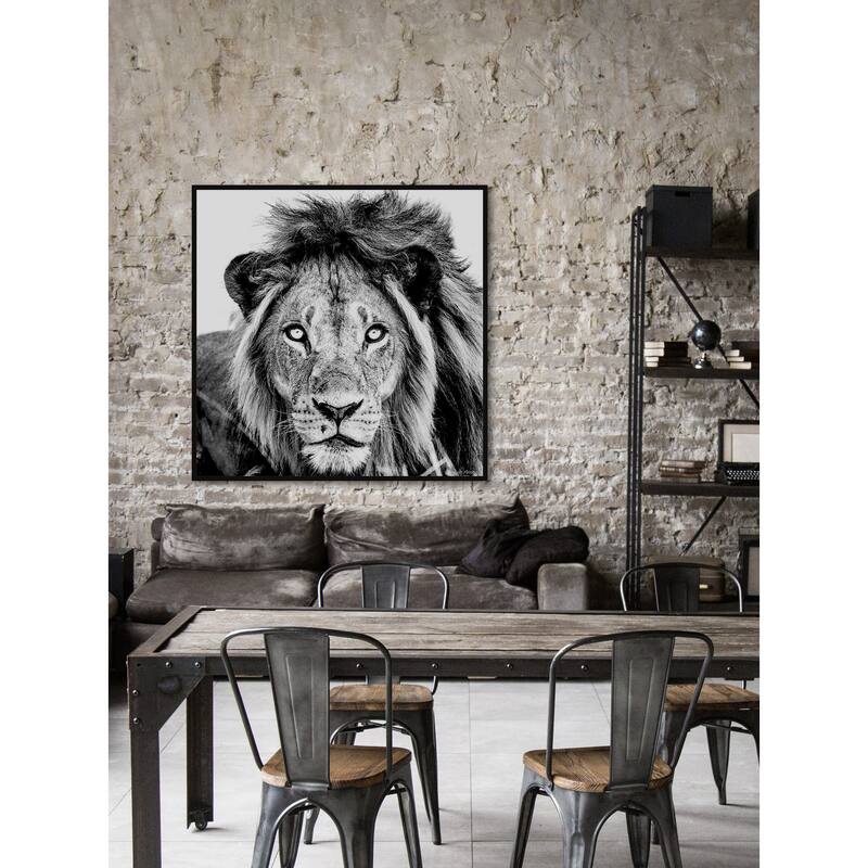 Mighty Lion Floater Framed Print on Canvas