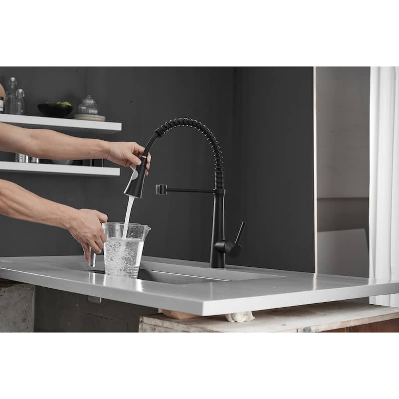 LED Light Commercial 1-Handle Pulldown Kitchen Faucet - Black