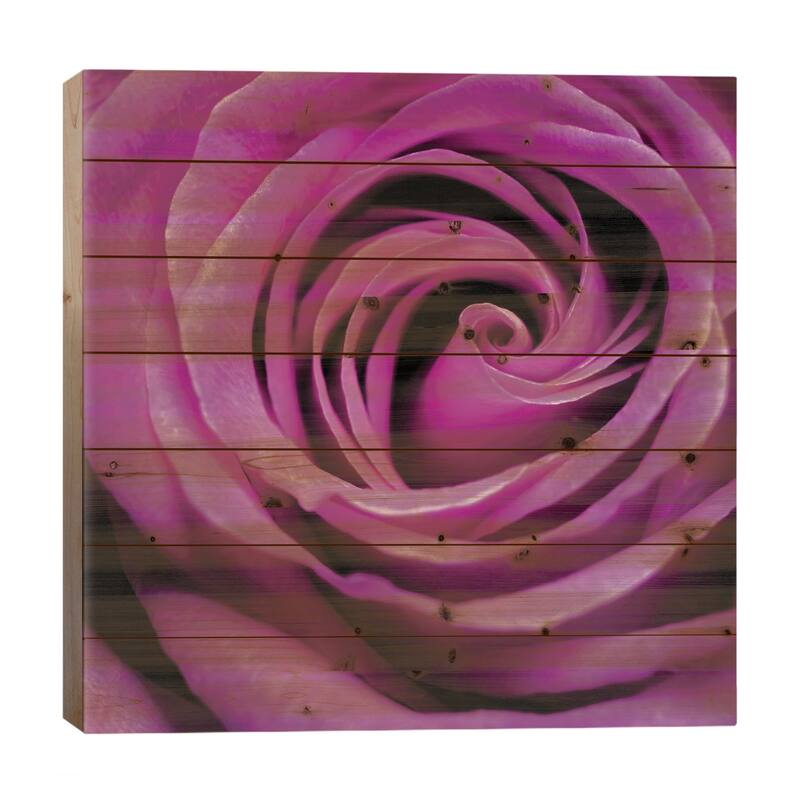 Purple Rose Print On Wood by PhotoINC Studio - Multi-Color - 26x26x1.5