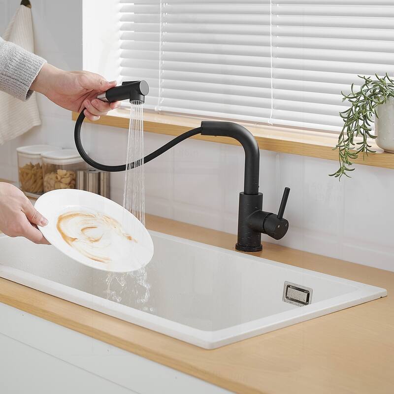 Versatile Sink Faucet with Pull Out Sprayer - Black