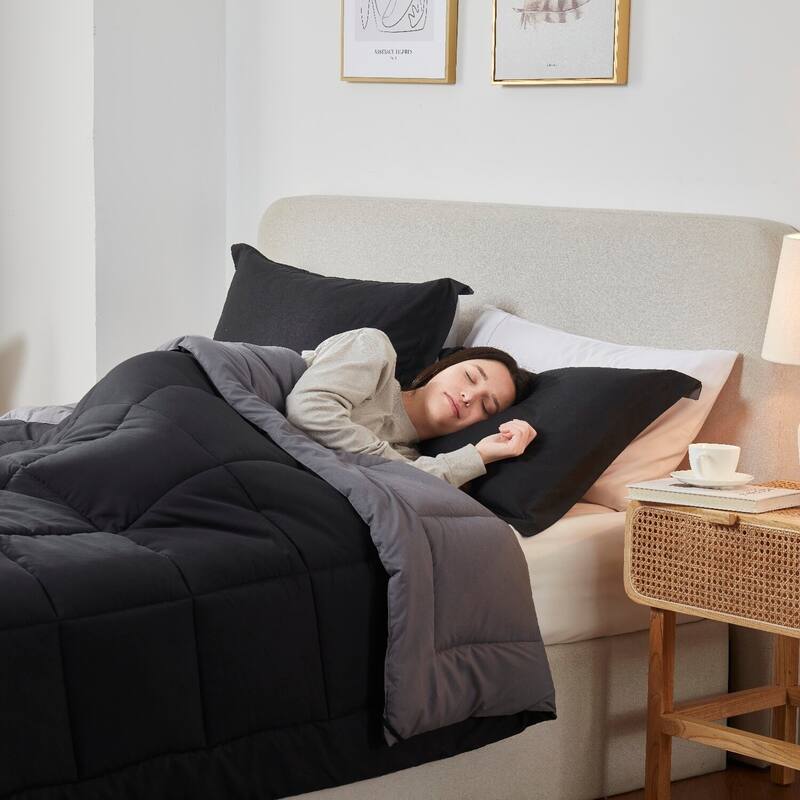 Empyrean All Season Alternative Down Lightweight Reversible Comforter Set