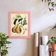 preview thumbnail 78 of 138, Printed Tuscan Fruits IV -Framed Print w/glass-Cherry Red