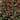 72" Solid Wood Bead Garland Set of 2 - Red - 72-Inch