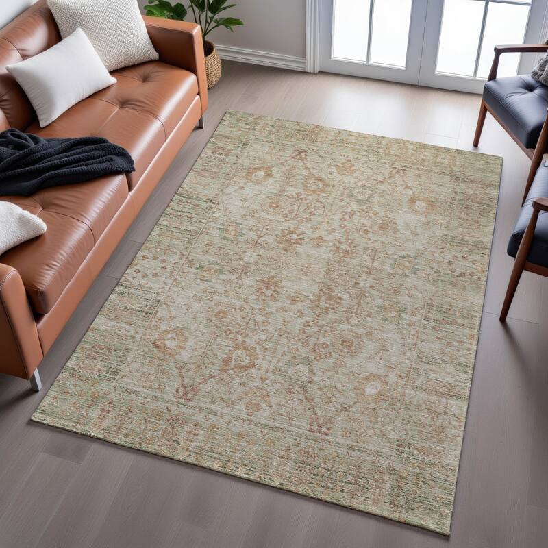 Premium Washable Super Soft Traditional Vintage Mayfield Rug