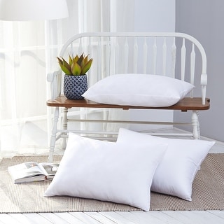Stearns and foster liquiloft outlet pillow